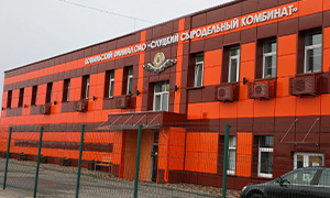 kopul